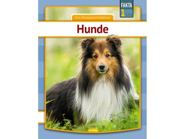 Hunde | Eva Mosegaard Amdisen