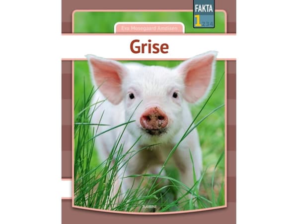 Grise | Eva Mosegaard Amdisen