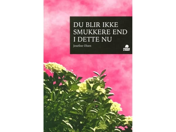 Du blir ikke smukkere end i dette nu | Josefine Olsen