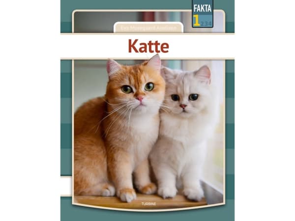 Katte | Eva Mosegaard Amdisen