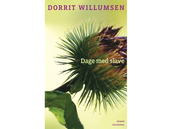 Slaveriets dagar | Dorrit Willumsen | Språk: Danska