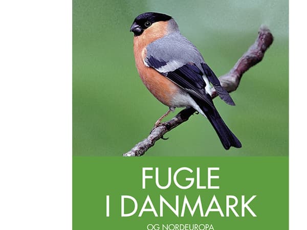 Fugle i Danmark og Nordeuropa | Peter Goodfellow