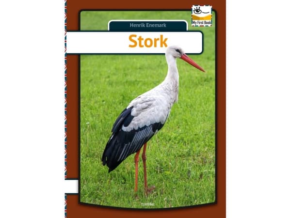 Stork - engelsk | Henrik Enemark