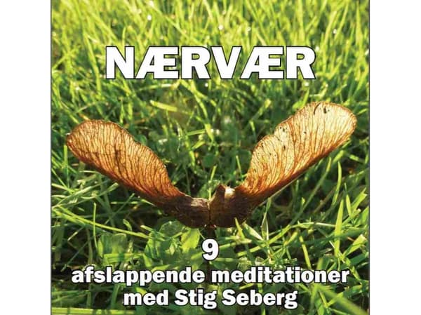 Nærvær | Stig Seberg | Språk: Danska