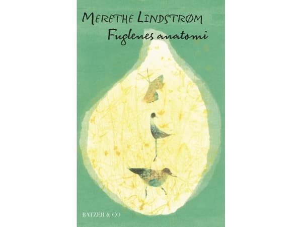 Fuglenes anatomi | Merethe Lindstrøm