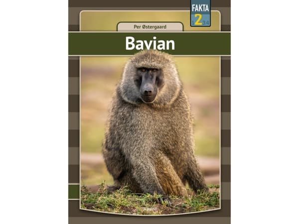 Bavian | Per Østergaard
