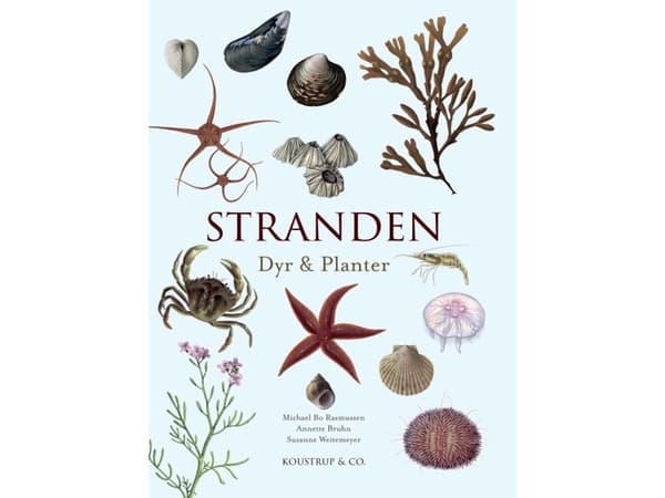 Stranden | Michael Bo Rasmussen, Annette Bruhn