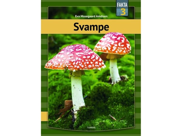 Svampe | Eva Mosegaard Amdisen