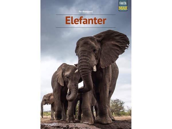 Elefanter | Per Østergaard