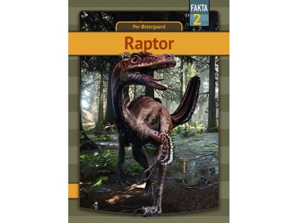 Raptor | Per Østergaard