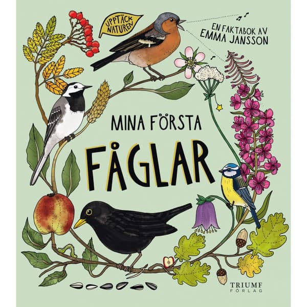Mina första fåglar - Babynord