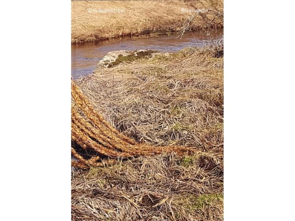 River-and-I: A multispecies story of loss and love on the brink | Elin Sundström | Språk: Engelsk