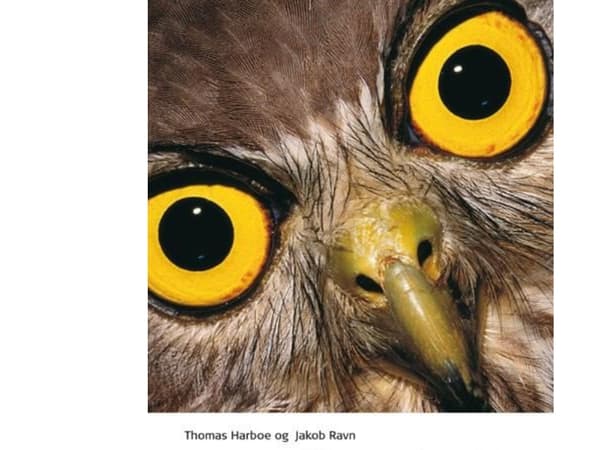 Studieteknik | Jakob Ravn;Thomas Harboe