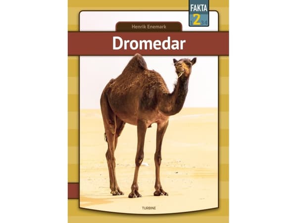Dromedar | Henrik Enemark