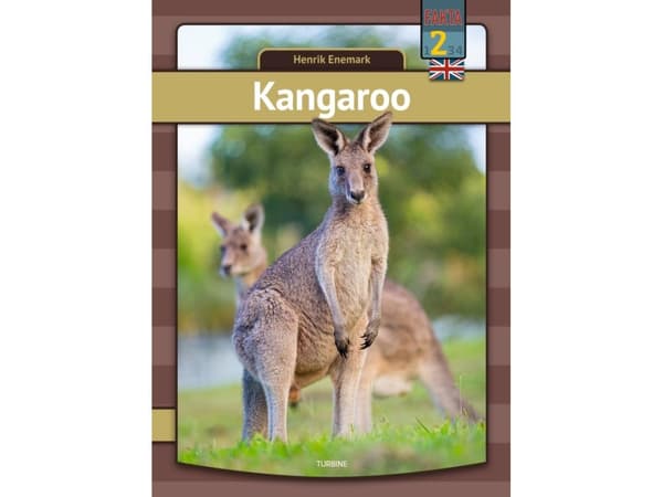Kangaroo | Henrik Enemark