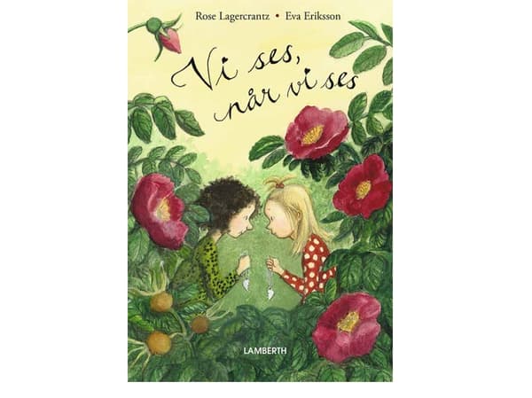 Vi ses, når vi ses | Rose Lagercrantz