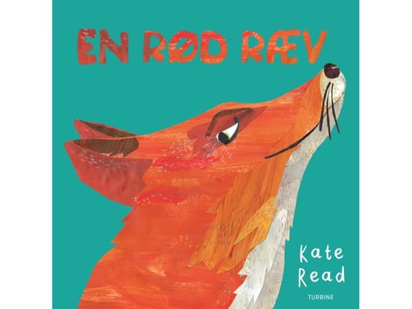 En rød ræv | Kate Read