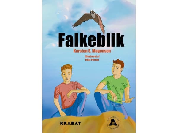 Falkeblik | Karsten S Mogensen
