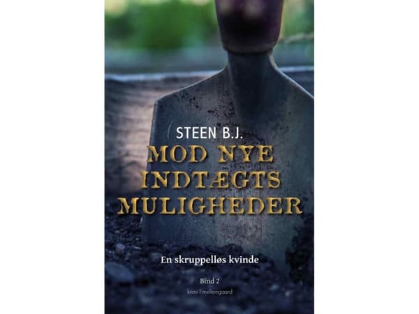 Mod nye indtægtsmuligheder | Steen B.J.