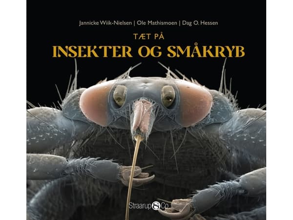 Tæt på insekter og småkryb | Jannicke Wiik-Nielsen, Dag O. Hessen og Ole Mathismoen