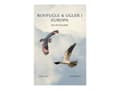 Pikkukuva 1 / 2: Rovfugle & ugler i Europa - af Gejl Lars - bog (hardback) |