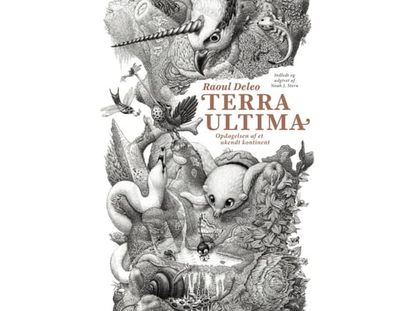 Terra Ultima | Raoul Deleo