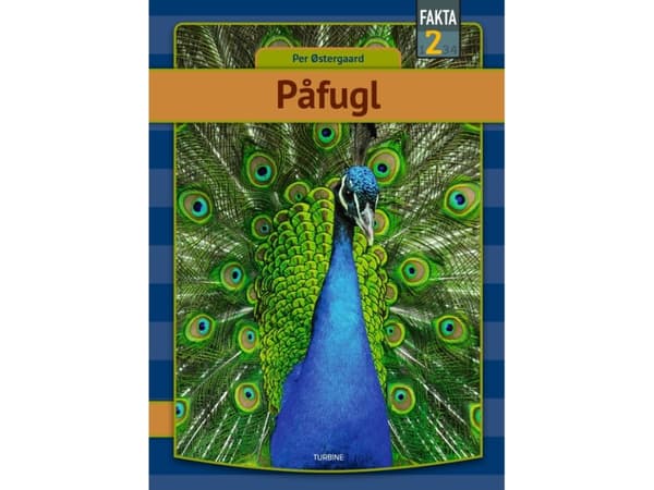 Påfugl | Per Østergaard