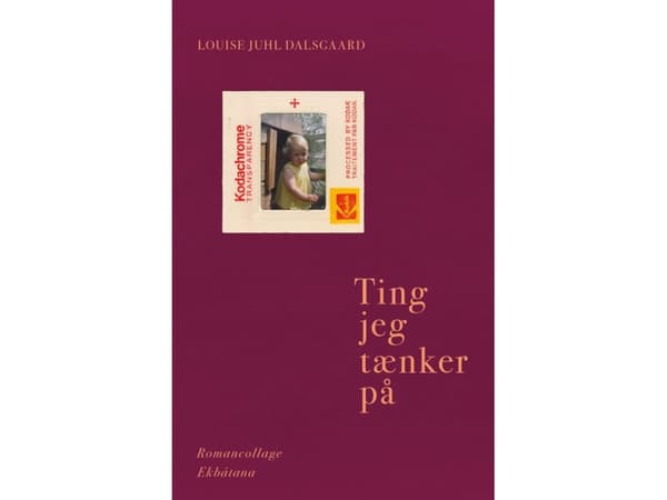 Saker jag tycker om | Louise Juhl Dalsgaard | Språk: Danska