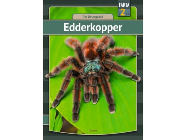 Edderkopper | Per Østergaard