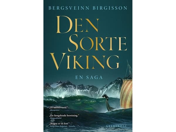 Den sorte viking | Bergsveinn Birgisson | Språk: Dansk