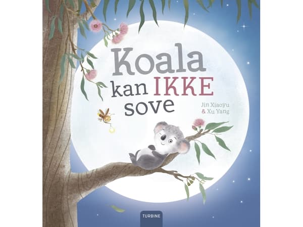 Koala kan ikke sove | Jin Xiaoyu