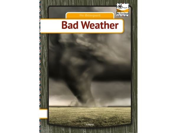 Bad Weather | Per Østergaard