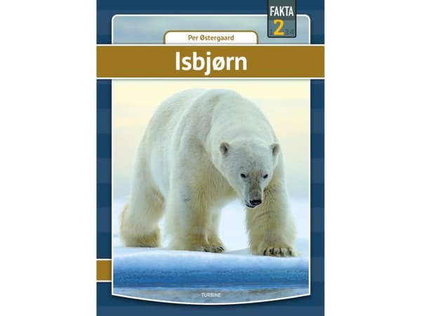 Isbjørn | Per Østergaard