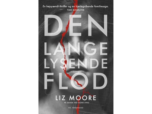 Den lange lysende flod | Liz Moore