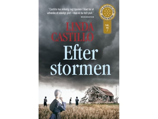 Efter stormen | Linda Castillo
