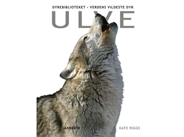 Ulve | Kate Riggs