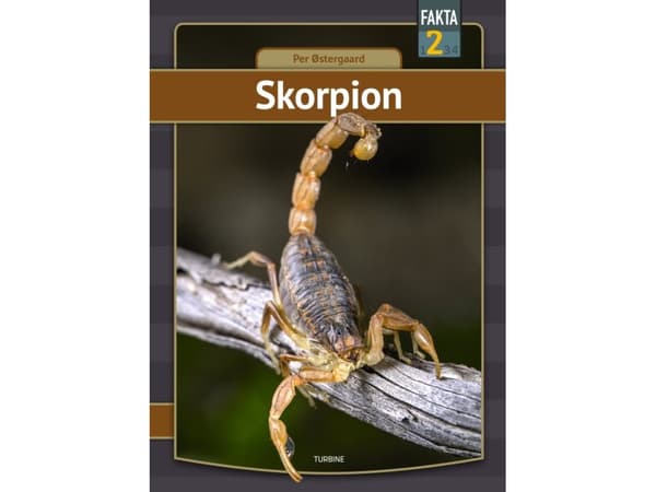 Skorpion | Per Østergaard