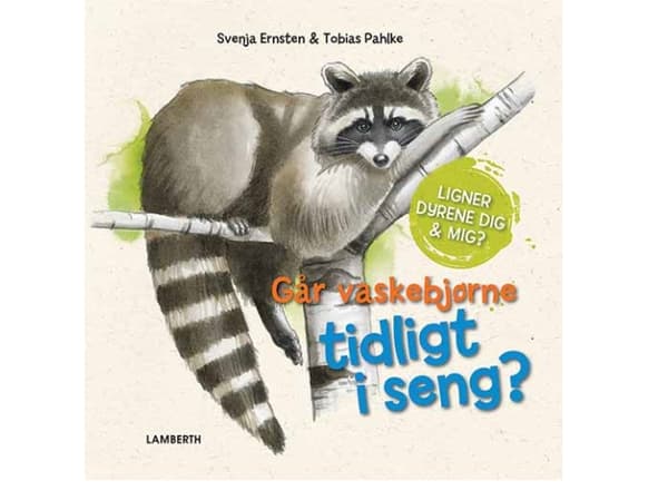Går vaskebjørne tidligt i seng? | Svenja Ernsten