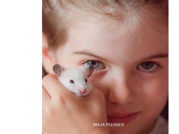 Mus, Grøn Fagklub | Maja Plesner
