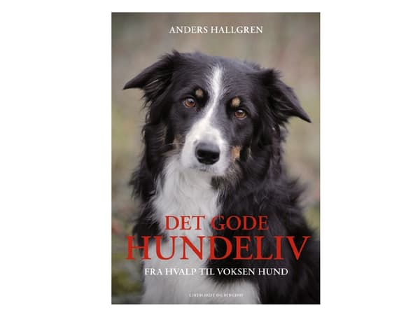 Det gode hundeliv | Anders Hallgren