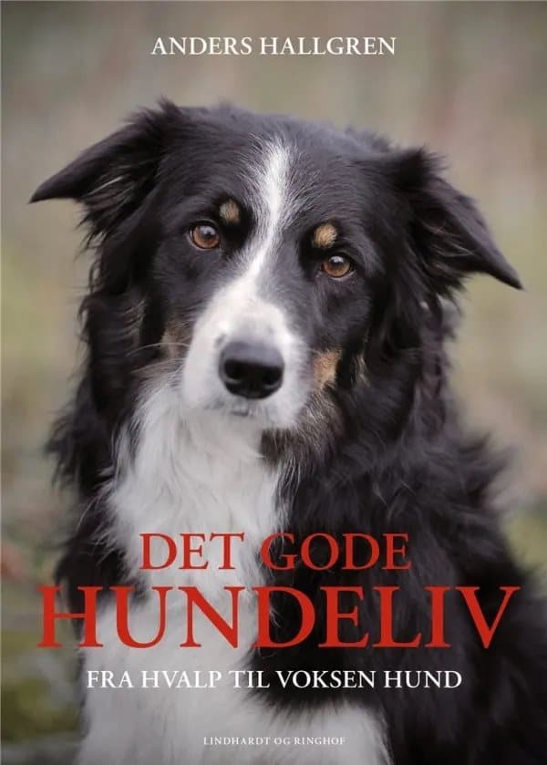 Det gode hundeliv | Anders Hallgren
