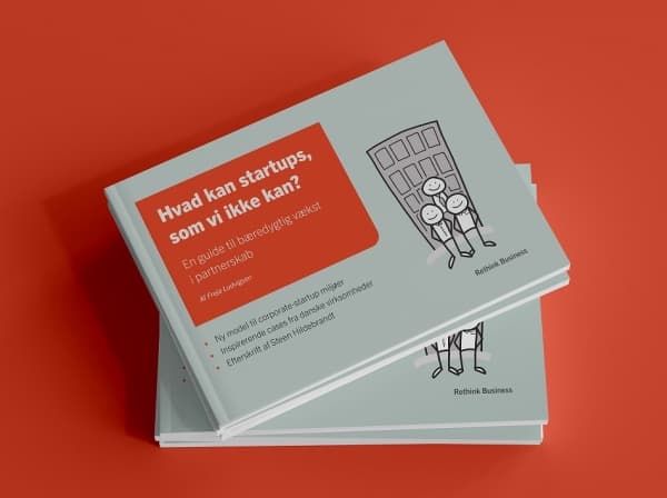 Hvad kan startups, som vi ikke kan? | Freja Ludvigsen
