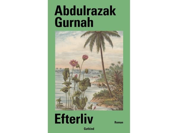 Efterliv | Abdulrazak Gurnah