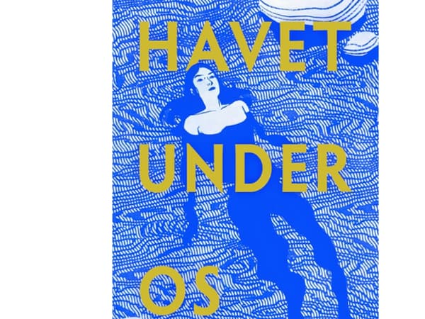 Havet under os | Amity Gaige | Språk: Danska