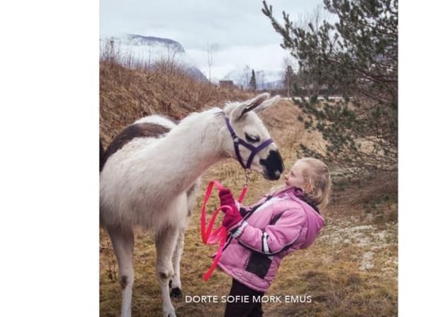 Lama, Grøn Fagklub | Dorte Sofie Emus