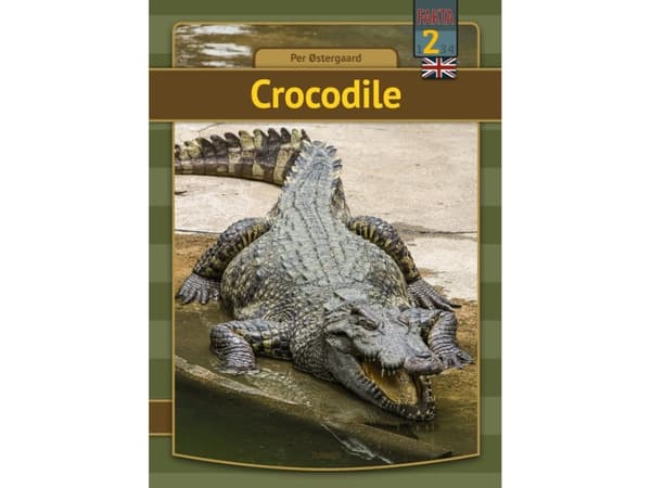 Crocodile | Per Østergaard