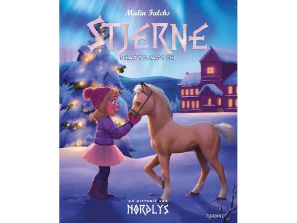 Stjerne – en historie fra Nordlys | Malin Falch | Språk: Danska