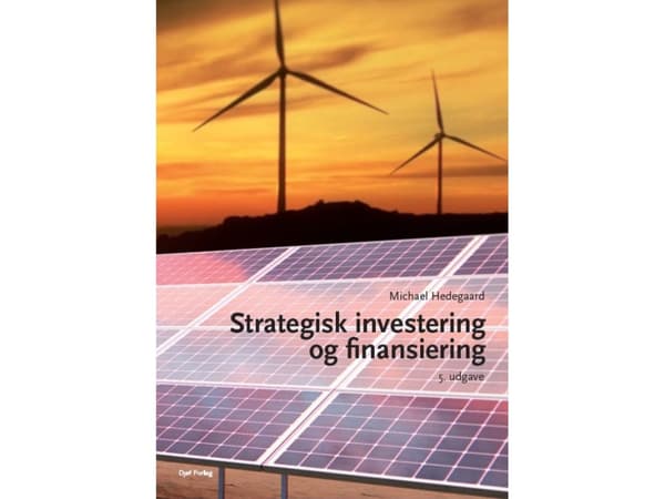 Strategisk investering og finansiering | Michael Hedegaard