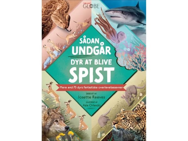 Sådan undgår dyr at blive spist | Josette Reeves