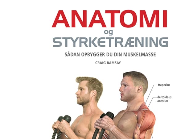 Anatomi og styrketræning | Craig Ramsay